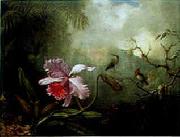 Martin Johnson Heade Cattleya Orchid Three Brazilian Hummingbirds oil painting on canvas